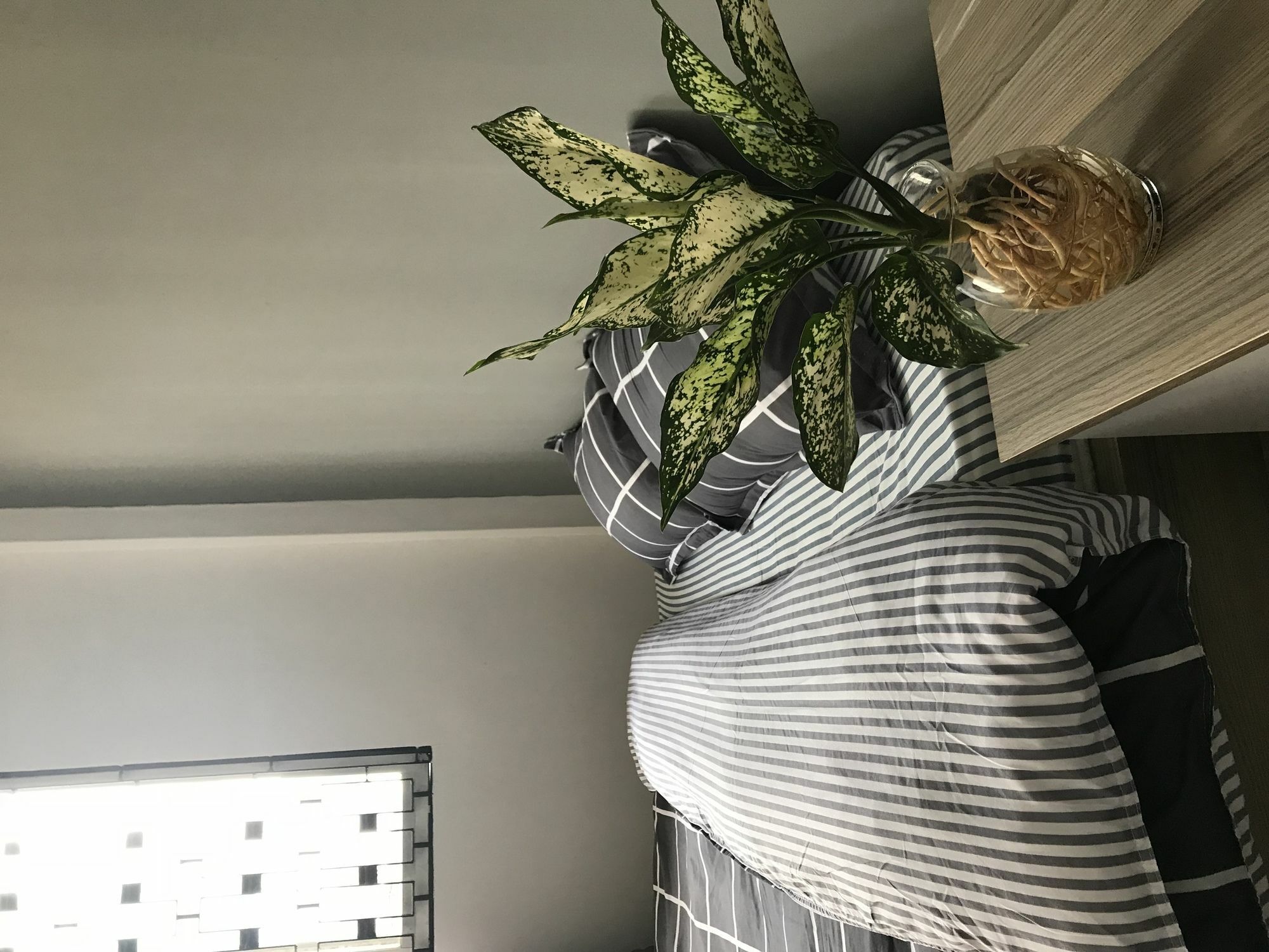 Meowies Homestay Хошимін Екстер'єр фото